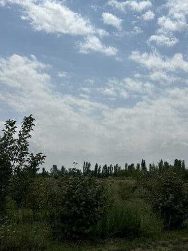 xacmazda satilan torpaqlar: Kənd təsərrüfatı, Mülkiyyətçi — 2