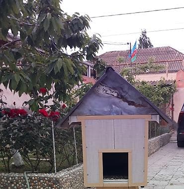 pişik ucuz: Məhsul: Açıq havada istifadə üçün pişik evi Təsvir: Qapalı pişik evi — 1