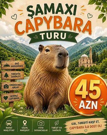 ij planeta: -Rahat nəqliyyat, möhtəşəm mənzərələr, ləzzətli yeməklər, peşəkar — 6