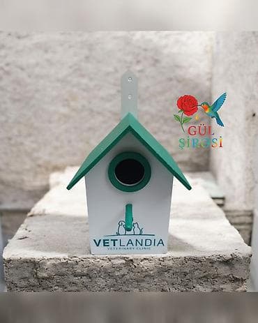 derzi qusu: Quş yuvası Sağlam və uzunömürlü ekoloji təmiz . Səliqəli və zövqlü — 4