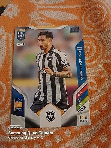 dog argentina: Panini FIFA 365 kolleksiya kartı – Botafogo oyunçusu Santiago — 1
