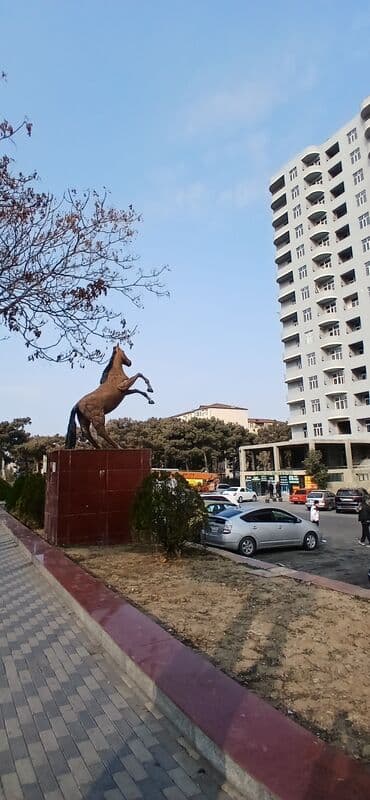 Temiz seliqeli medeni yerde ofis icareye verilir,Xirdalanda at heykeli