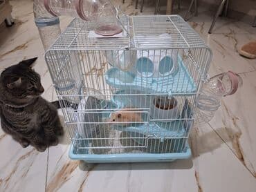 cuce qefes: Hamster üçün tam dəst qəfəs - Ölçü: kompakt masaüstü, çoxmərtəbəli — 6