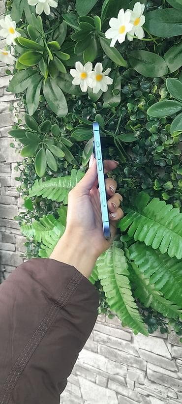 iphone 5s 32 gold: IPhone 16, 128 ГБ, Голубой, Гарантия — 3