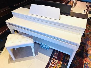 qədimi pullar: Pianino elektron. Royal musiqi aletleri magazalar shebekesi sizlere — 1