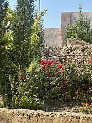 Bağ evi tarqovu ramana deyilən yerde düz yol kenarı 204 un — 9