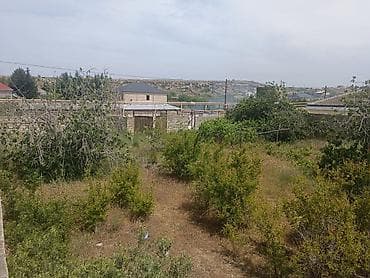 basavik satisi: 12 sot, Tikinti, Makler, Kupça (Çıxarış) — 1
