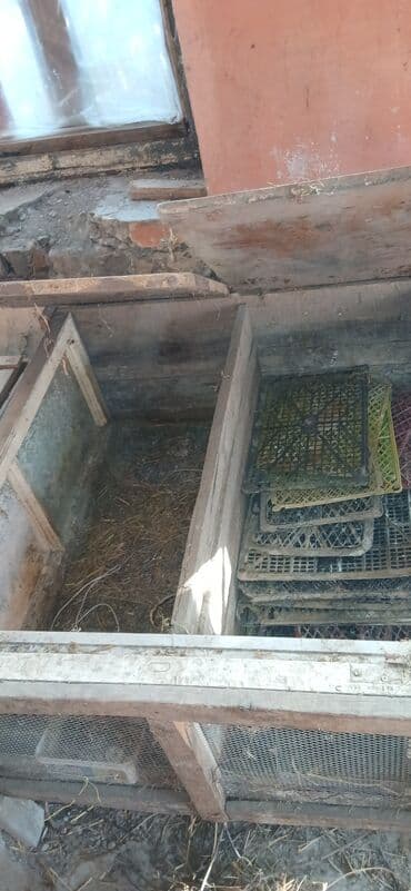 it ucun qəfəs: Dovşan üçün ikili qəfəs - Material: taxta karkas, üstü taxta/qalın — 6