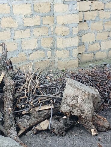 Peçlər və kaminlər: Odun və budaq qırıntıları – qarışıq ölçülər - Qalın gövdə parçaları — 1