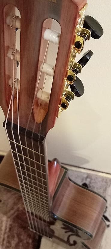 Klassik gitara, Yeni, Ödənişli çatdırılma — 2