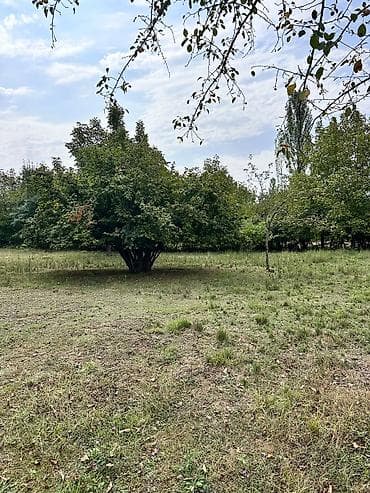 guzgu satışı: 60sot torpaq satilir Asvaltdan mesafə 400metr Dag menzereli Kommunal — 2