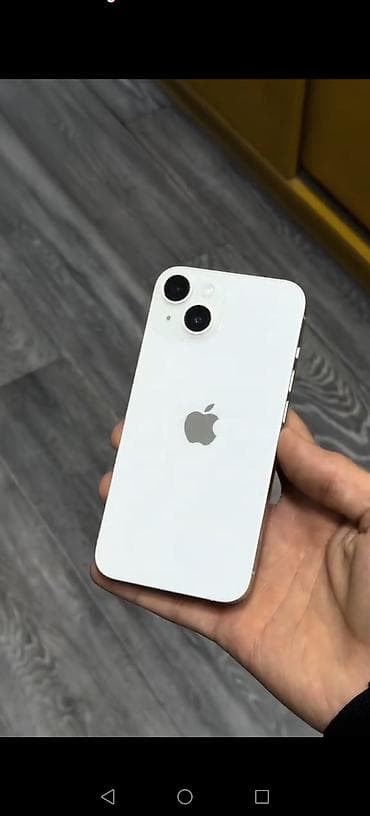 IPhone 13, Ağ