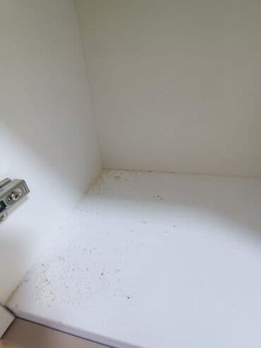 чистка мебели на дому: Уборка помещений | Дома | Уборка после ремонта — 4