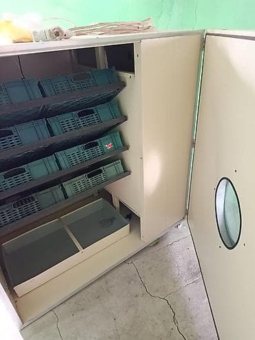 Digər biznes avadanlığı: İnqibator tam aftamatdır. 1056 yumurta tutur. təcili pul lazım olduğu — 3