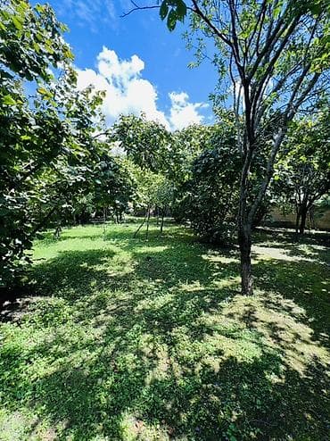 kiraye evler yeni elanlar: 350 kv. m, 10 otaq, Kombi, Qaz, İşıq — 6