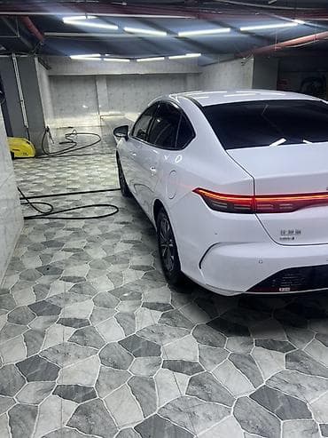 maşinlarin satişi: BYD Destroyer 05: 0.5 l | 2025 il 24948 km Sedan — 7