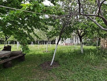 lehis baglari torpaq satilir: 12 sot, Tikinti, Mülkiyyətçi, Kupça (Çıxarış) — 4