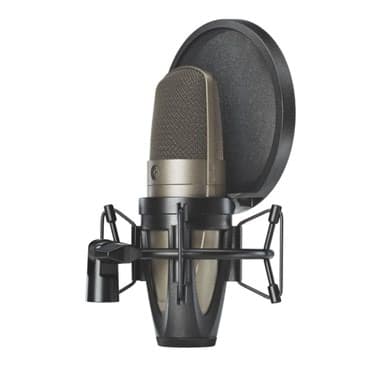 Musiqi alətləri: Simli Mikrofon Shure — 2