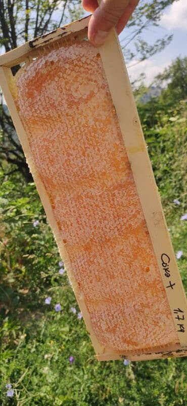 продается мед: ELF BEE'S 1977 ECO-PRODUCT FOR HEALTH AND LONGEVITY Tovuzun — 6