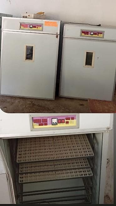 2 ədəd inkubator Qiymət:2-si birlikdə 1550 AZN Tam avtomat, 1