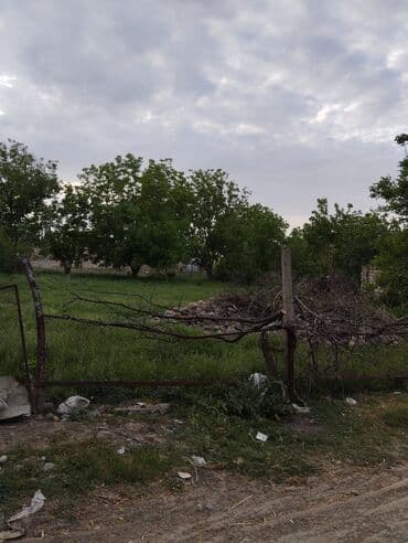 Samux rayonu Nebiagali kendinde torpaq sahesi satılır.Daş tökulub