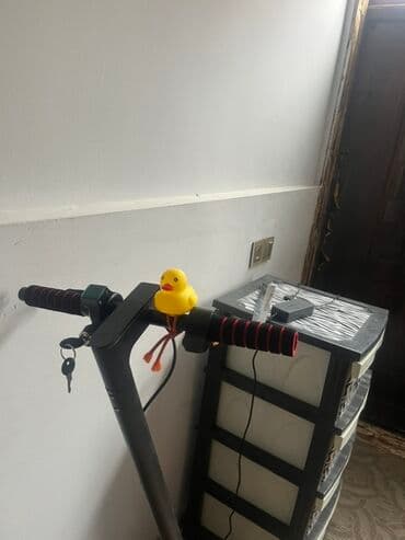 сколько стоит электросамокат: Skuterr Prablemleri:qatlama olmur ancaq acanda rolu yungul eyridi — 2