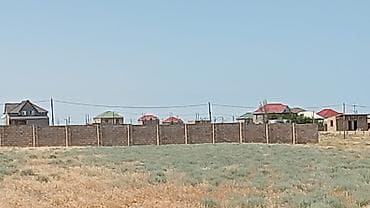 Tikinti