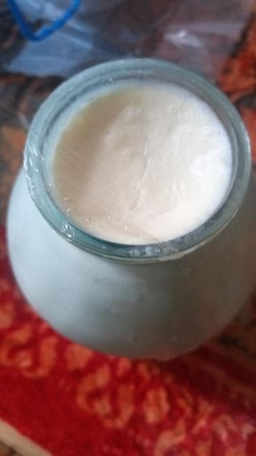 Təbii qatıq – şüşə bankada. TƏBii ev qatıgı satıram öz məhsulumdu -