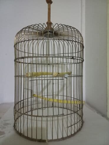клетка для попугаев: Zədəsiz,ideal vəziyyətdə.Zavod malı,3 qapılı.Hündürlüyü 50 sm — 3
