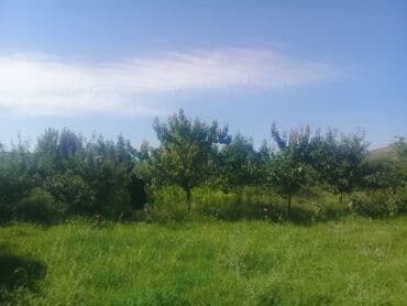 razin kiraye evler 2022: 7 комнат, 200 м², Нет кредита, Средний ремонт — 2
