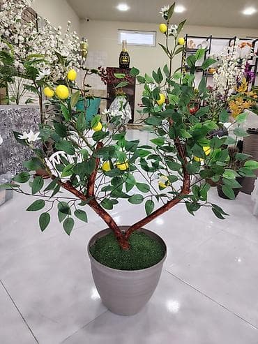 dekorativ guller: Dekorativ süni limon ağacı – qablarda - Realistik görünüşlü süni — 2