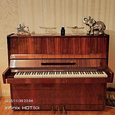 Piano, Belarus, Akustik