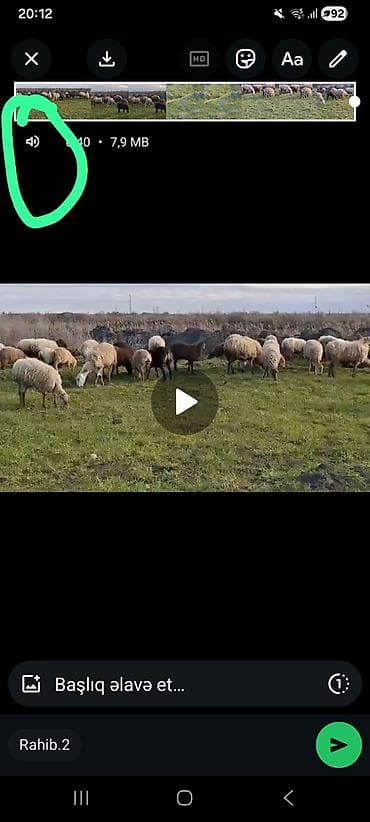 lal ordək yumurtası: Iri balali heyvanlar satilir hisse hisse de satila biler ili təzə — 3