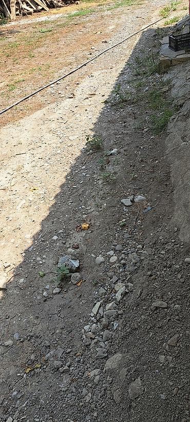 mişar dasi: Seki Böyuk dehne tras qraqinda 150 kv metr Senedli tikinti ucun torpaq — 1