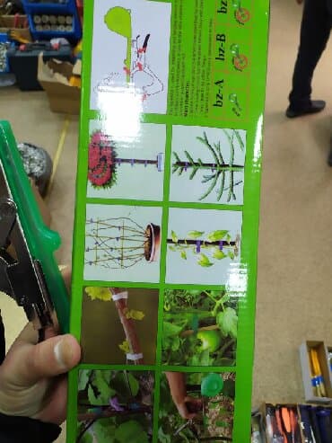 uzum ağacı: Çox keyfiyyətli qayçı meselem salanan üzüm ağaclarını en asanlıqla — 5