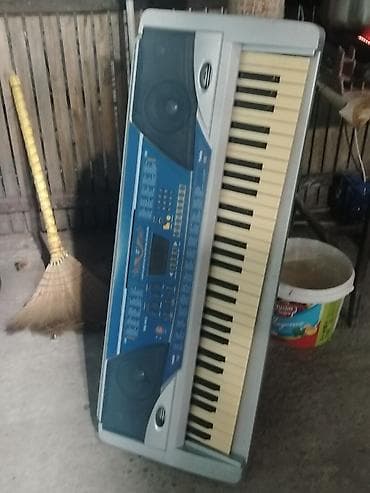 Musiqi alətləri: Elektron sintezator/klaviatura - 61 klavişli klaviatura (tam ölçülü) — 1
