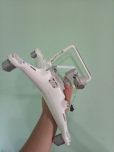sicanlari nece mehv etmek olar: Fly rəng - Ağ, Qırıq — 5