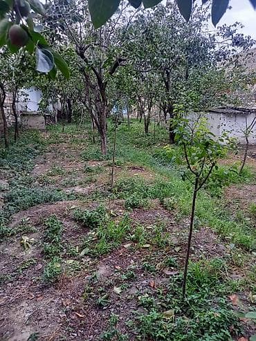 sutkaliq bag evi: Allah her kese xeyir versin seherde avtovagzala yaxin 11sot mehlenin — 5