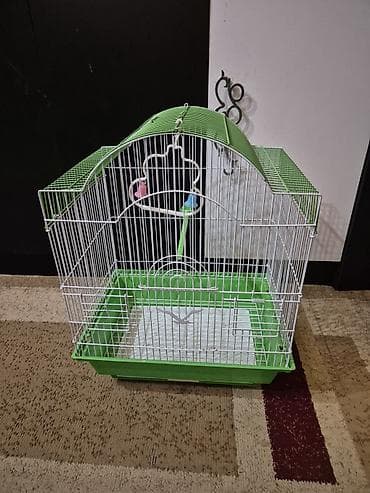 Quş qəfəsi - Ölçülər: uzunluq 35 sm, hündürlük 48 sm, eni 26 sm - — 2