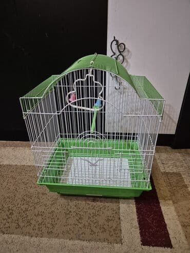 Yemlər: Quş qəfəsi Ölçülər: - Uzunluq: 35 sm - Hündürlük: 48 sm - En: 26 sm — 2