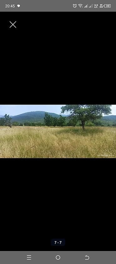 Kənd təsərrüfatı