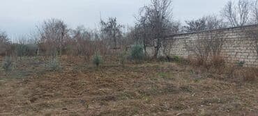 qazaxda torpaq satilir: 8 sot, Tikinti, Mülkiyyətçi, Kupça (Çıxarış) — 4