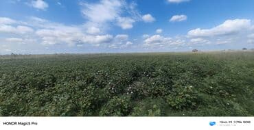 mingecevirde kiraye evler 2019: 257 sot Kənd təsərrüfatı — 14