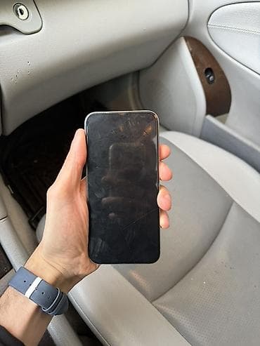 ipone mini: IPhone 15 Pro Max, 256 GB, Gümüşü, Barmaq izi, Face ID — 2