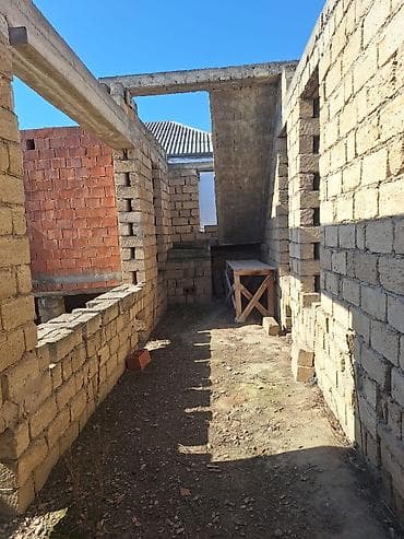 bine qesebesinde: Kənd təsərrüfatı — 7