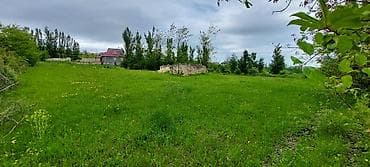 torpag satisi: 20 sot, Tikinti, Mülkiyyətçi, Kupça (Çıxarış) — 2