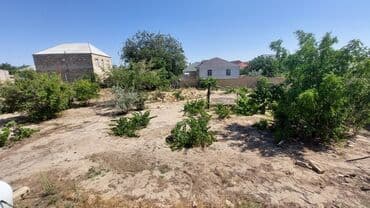 sulutəpə çiçək qəsəbəsi: 12 sot, Tikinti, Maklerlər narahat etməsin, Kupça (Çıxarış) — 6