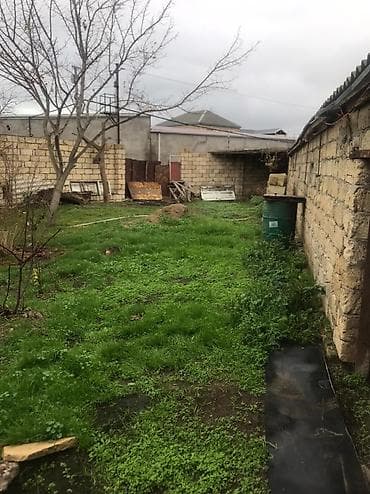 lalafo satılık emlak: Məhsul: Meyvə Bağı (həyətyanı torpaq sahəsi) Təsvir: - Yaşıl, kollu — 5