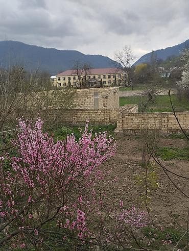 1 sot nece kv metrdir: 14 sot, Makler, Kupça (Çıxarış) — 6