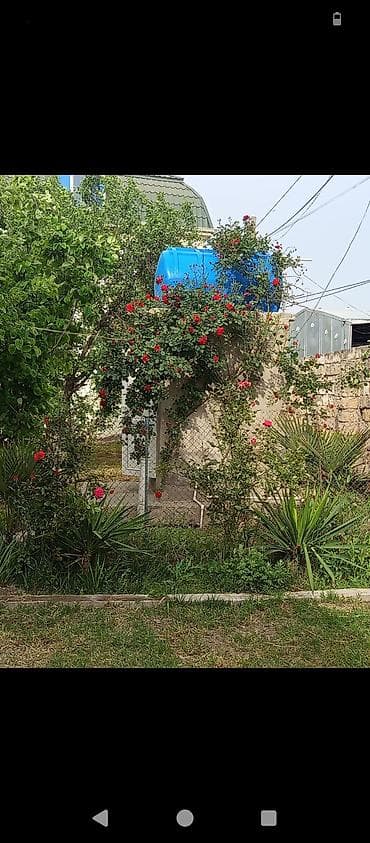 28 kiraye ev: Həyətyanı sahəsi və bağçası olan iki mərtəbəli fərdi yaşayış evi — 3